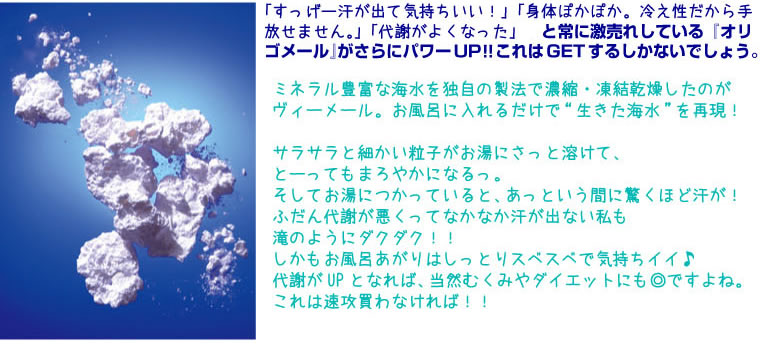 VIE MER(ヴィーメール)